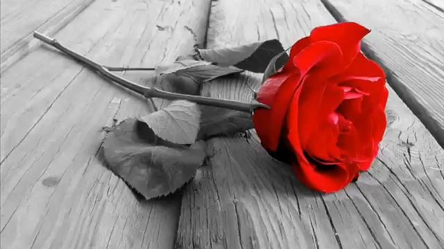 Chuck Mangione - Song For Latin Lady смотреть онлайн