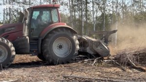 Приехали к нам в гости посмотреть на то как работаем на Valtra с мульчером