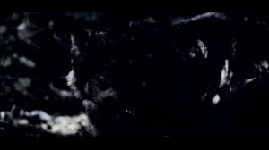 Сериал Ведьма 2019