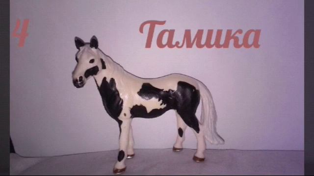 Топ 6 моих любимых лошадей! смотреть онлайн