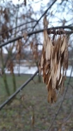 28.1.25 Москва, Южное Бутово