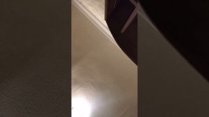 Алихан Амхадов - Облака