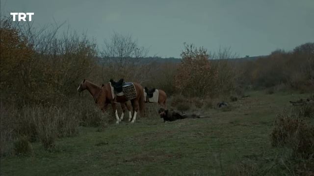 Воскрешение Эртугрул Сезон 3 Серия 19 смотреть онлайн