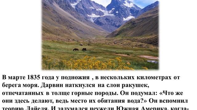 Ч  Дарвин эволюционное учение смотреть онлайн