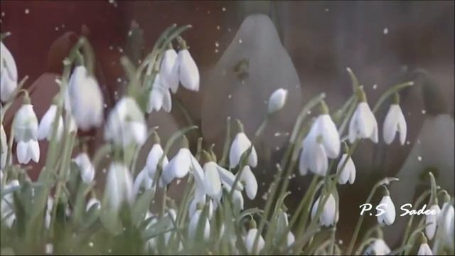 Віртуальний проект «Музейні мандри». Випуск №5 «Німфи Флори». смотреть онлайн