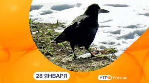 Утро России. Калуга (28.01.2025)