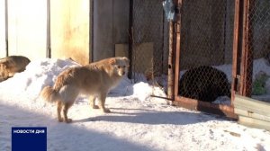 В НЕСКОЛЬКИХ ТЕРРИТОРИЯХ ОРЕНБУРГСКОЙ ОБЛАСТИ ВВЕДЕН ЭКСТРАОРДИНАРНЫЙ РЕЖИМ