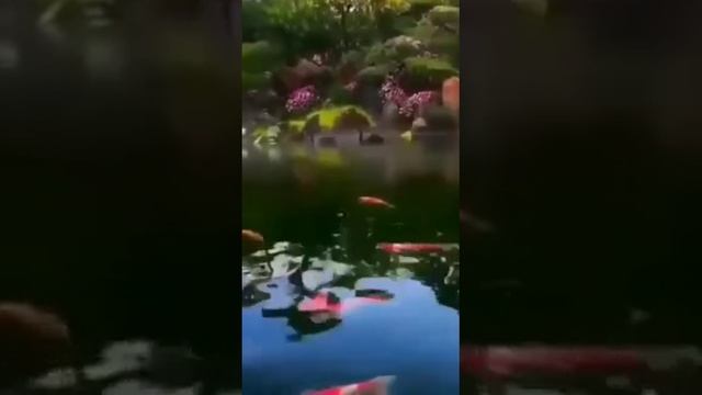 Мавлид смотреть онлайн