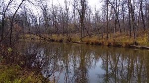 ВИННИПЕГ Канада. Осень