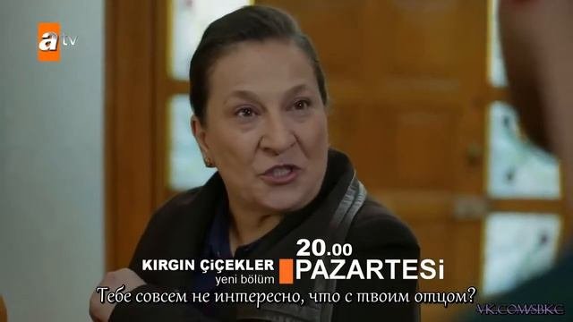 обиженные цветы 111