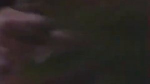 Санта Барбара   659