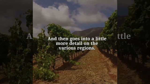 Know about South African Wines смотреть онлайн