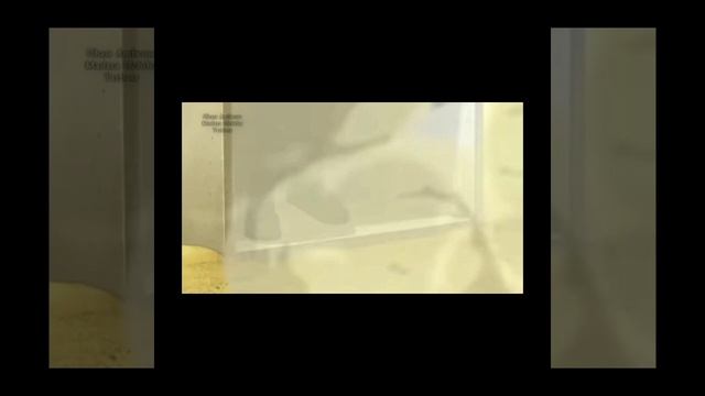 Альтернативный сюжет наруто гений 1 часть 🙂😄🙂 смотреть онлайн