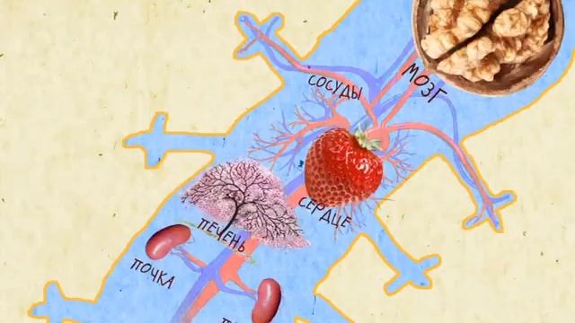 вредные привычки смотреть онлайн