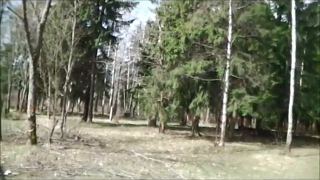 Зеленоградский детсад в лесу смотреть онлайн