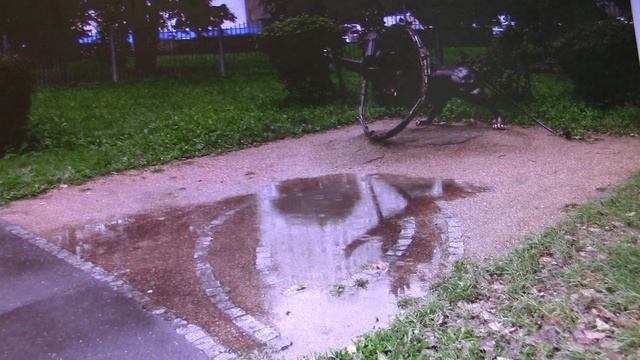 сквер "Знаки Зодиака" смотреть онлайн