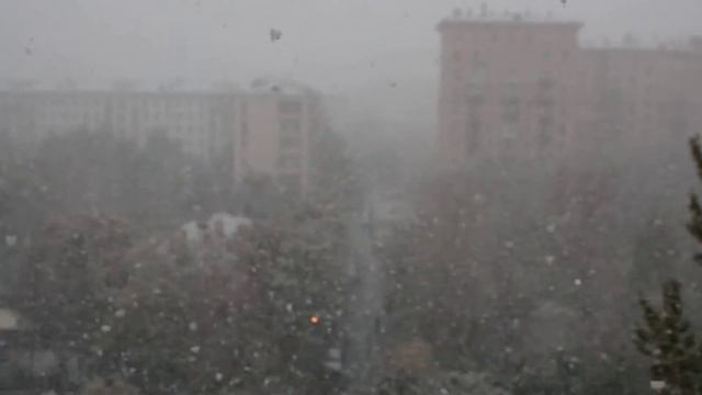 Снегопад в Москве 09,10,2015 смотреть онлайн