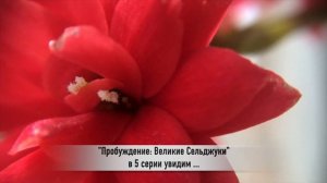 ПРОБУЖДЕНИЕ ВЕЛИКИЕ СЕЛЬДЖУКИ 5 серия РУССКАЯ ОЗВУЧКА турецкий сериал