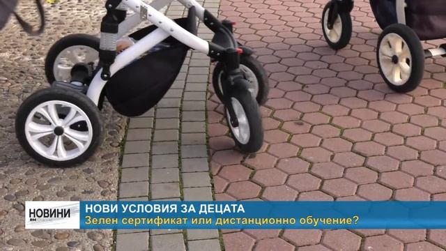 RM TV: Зелен сертификат или дистанционно обучение? смотреть онлайн