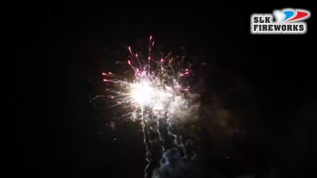 CL 025 БИНГО 0 8 х 100 смотреть онлайн