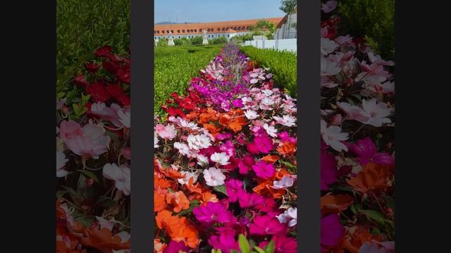 Как появилась мантра Харе Кришна смотреть онлайн