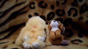 Обзор на Кролика брелка из натурального меха и мягкую игрушку собачка