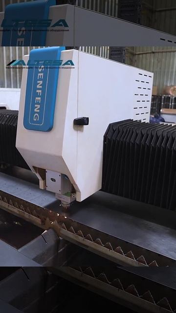 А вы как думали котов делают смотреть онлайн