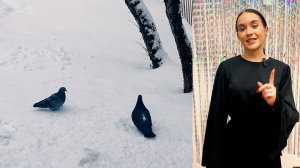 Телепередача «Лестница» №328. Эфир 09 Января 2025 года ТРК «Заречный»