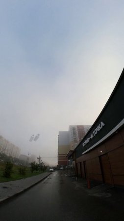9 сентября