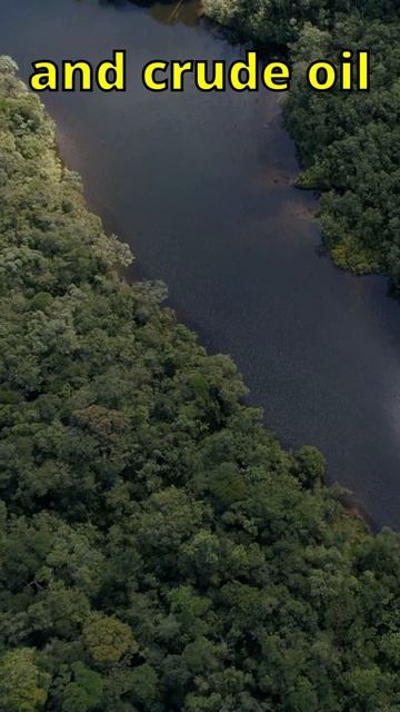 What is the only South American country with English as the official language? #generalknowledge смотреть онлайн