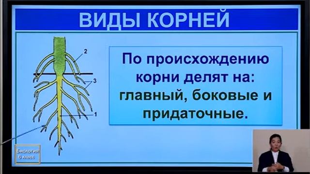 6 класс 05.10.2020 онлайн уроки смотреть онлайн
