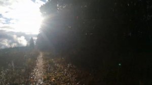 Жёлтый глаз тигра - 3 или Золото Макены