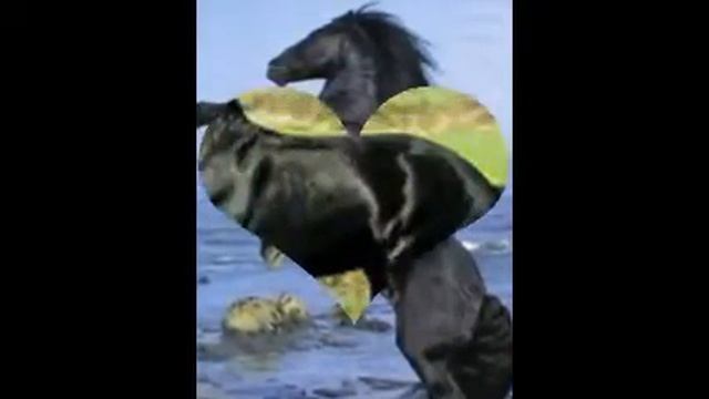 Живая Природа смотреть онлайн