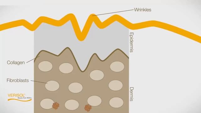 Copy of Copy of КРАСОТА - ЭТО ВКУСНО/ Дейли Делишес Бьюти Шейк /ЗДОРОВЬЕ КАК ОБРАЗ ЖИЗНИ /Coral Clu смотреть онлайн