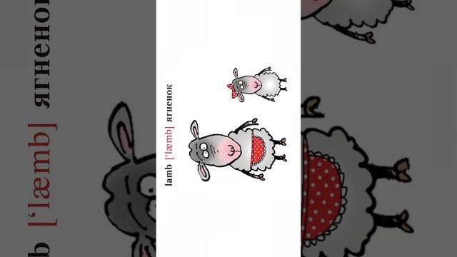 АНГЛИЙСКИЕ СЛОВА НА КАЖДЫЙ ДЕНЬ / АНГЛИЙСКИЙ СЛОВАРЬ #словарь #английскийязык смотреть онлайн