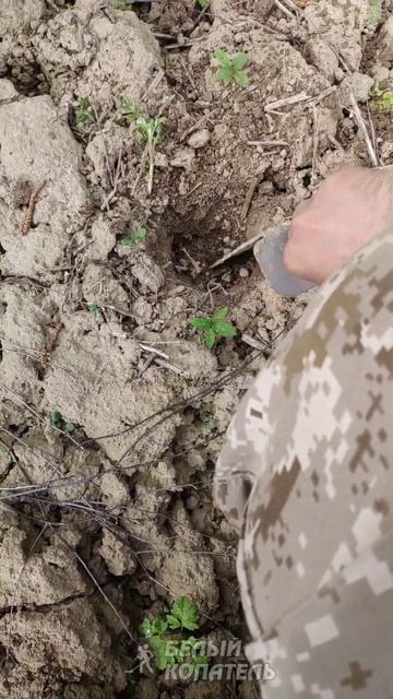 Сигнал хороший, а на деле... смотреть онлайн