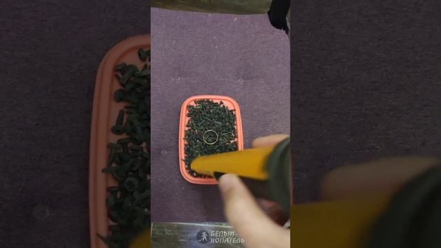 Nokta Accupoint и Nokta legend золотое кольцо в железе смотреть онлайн