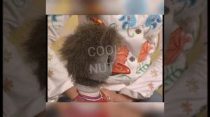 Для Малышей Английский язык с Хрюшей и Степашкой. Урок 30