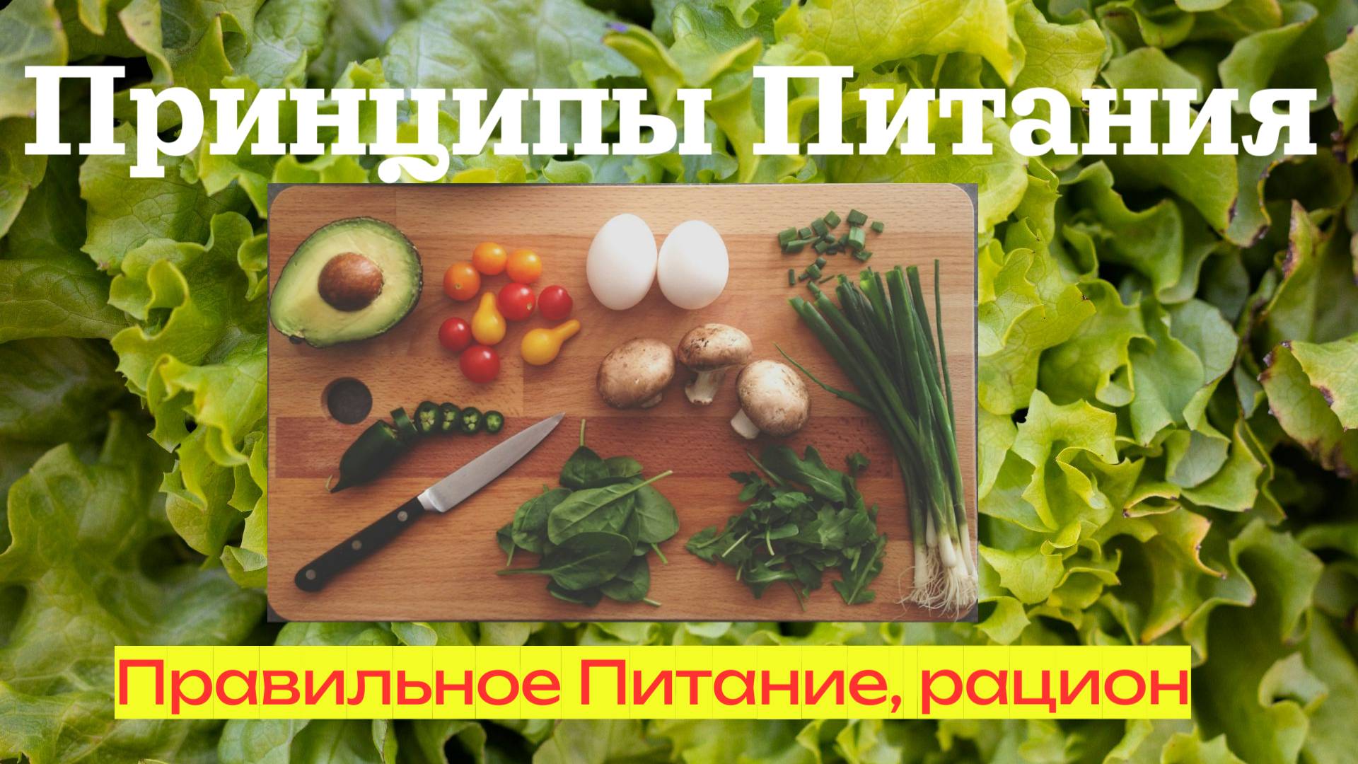 Принципы правильного питания, рецепты и продукты правильного питания!