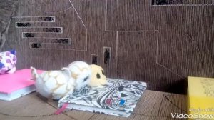 Глазастики. Игрушки Ty. Готовится к школе. Фильм "Новенький в Школе".