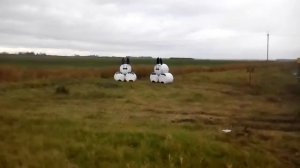 Соломенные зайцы а может кролики.