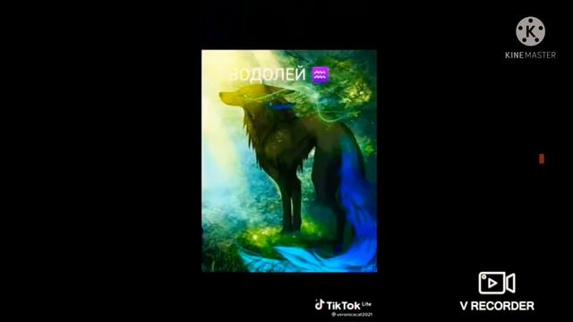 Какой ты волшебный волк по знаку зодиака2 часть