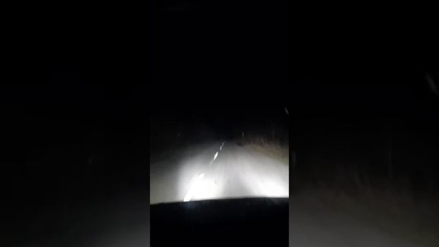 ночная дорога