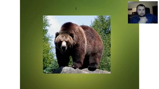 Дистанционное Видение день 2 без бонуса смотреть онлайн