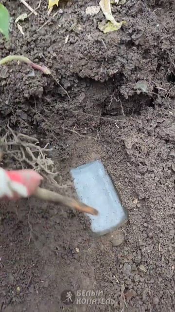 Находка показалась из земли... смотреть онлайн