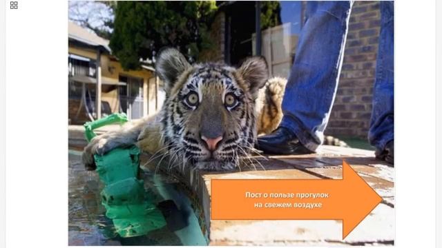 Грипп смотреть онлайн