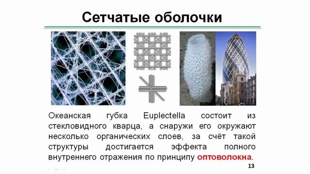 Механизмы формообразования архитектурных сооружений в живой природе Ермаченко П А от 27 января 20 смотреть онлайн