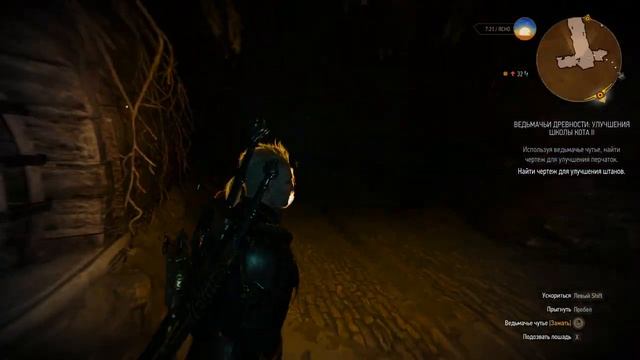 Ведьмак 3 Дикая Охота Сезон охоты Часть #38 смотреть онлайн