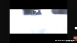 STAY CALM  русский перевод