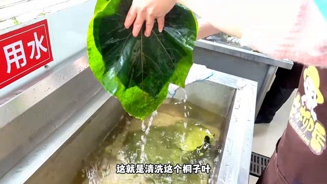 桐子叶包玉米粑粑